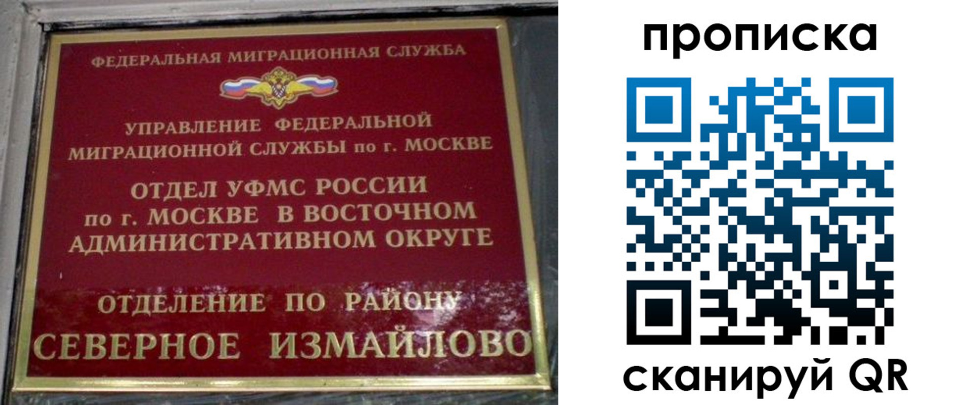 купить прописку в Камчатской области